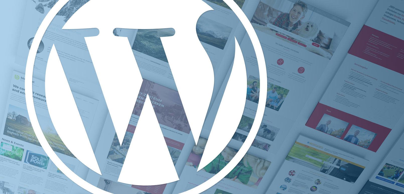 10 Gründe für WordPress CMS: WP Logo Website Screenshots