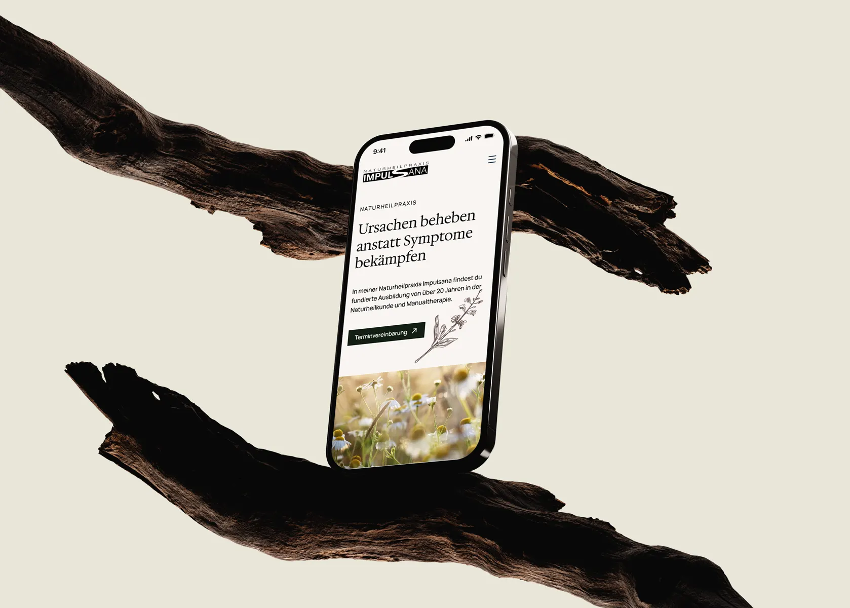 WordPress Theme Naturheilpraxis, Design, iPhone