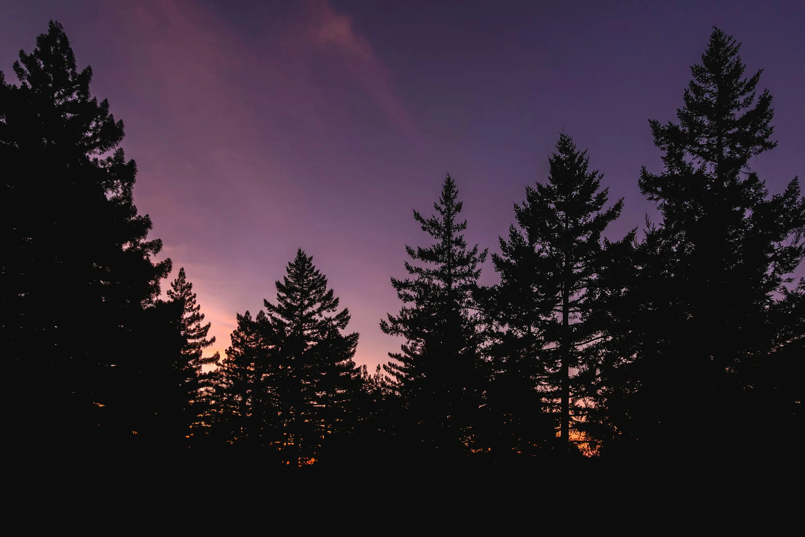 Sonnenuntergang, Waldrand