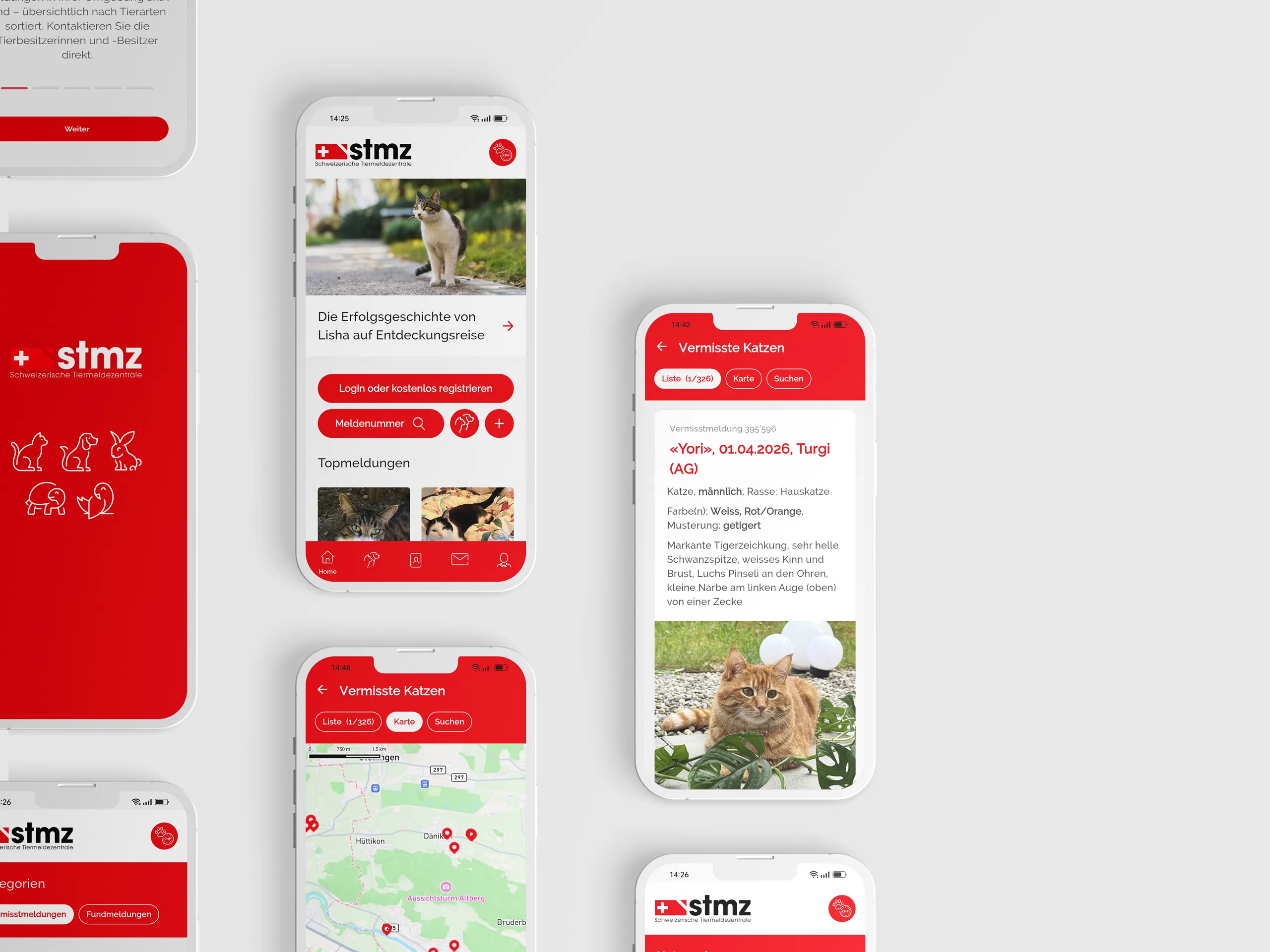 Webapplikation STMZ, Webdesign iPhones