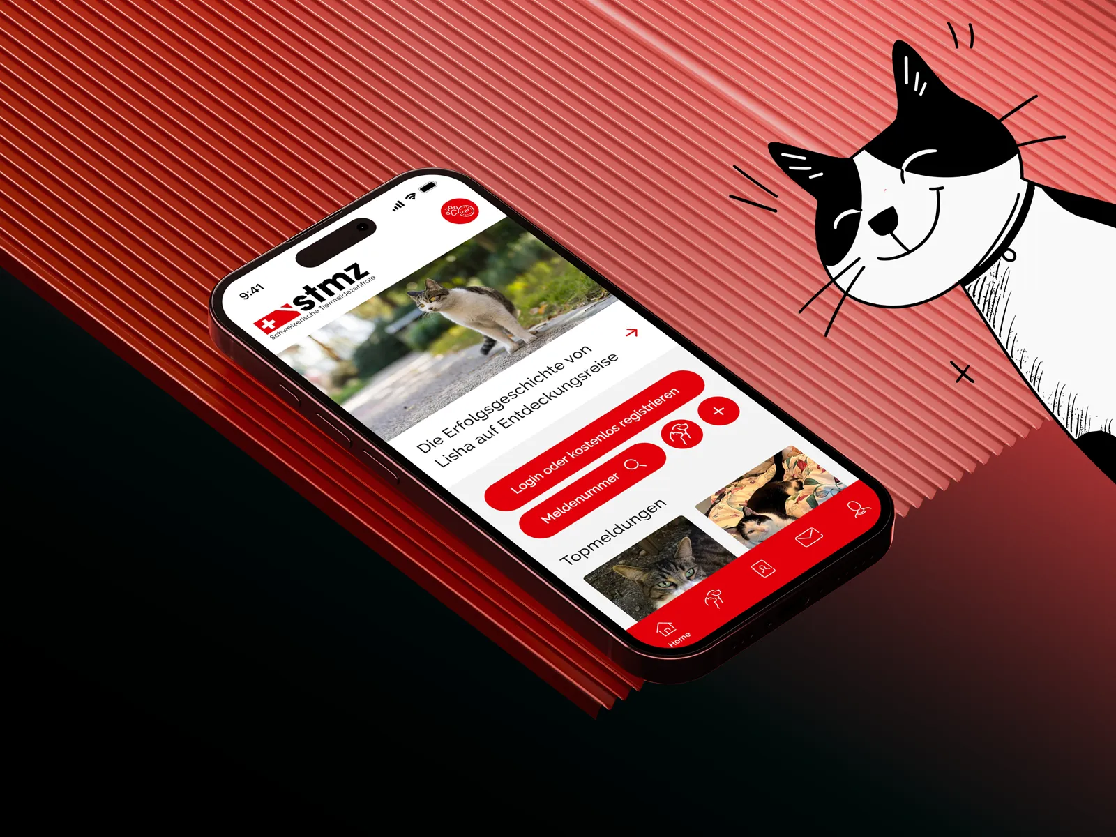 Website STMZ - Webapplikation, App, Webdesign
